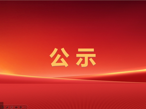 辰龍集團東大煤礦2024年四季度較大及以上安全風(fēng)險管控清單